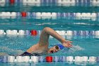 Women's Swimming & Diving  Wheaton College Women’s Swimming & Diving vs Mount Holyoke College. - Photo by Keith Nordstrom : Wheaton, Swimming & Diving